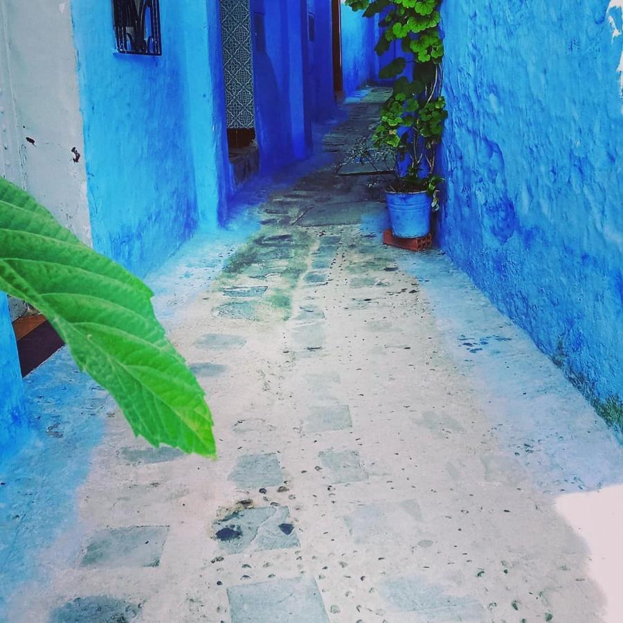 شقة Casa Mablu شفشاون المظهر الخارجي الصورة